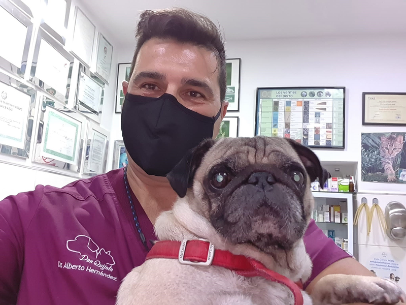Cl&iacute;nica Veterinaria Don Quijote 7