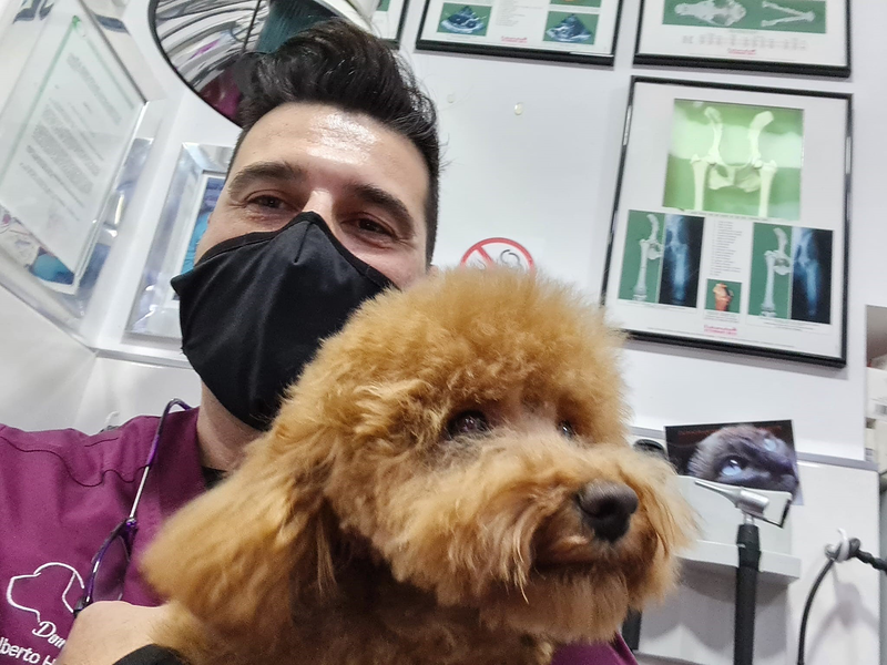 Cl&iacute;nica Veterinaria Don Quijote 5
