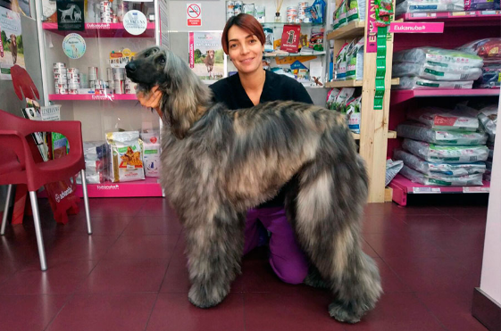Cl&iacute;nica Veterinaria Don Quijote CLINICAS VETERINARIAS
