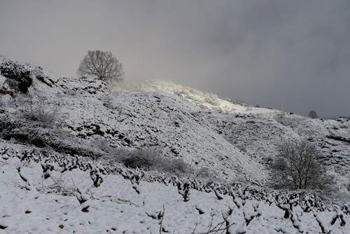 Icarus Estudios Medioambientales Bilbao