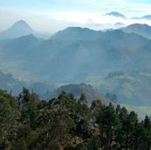 Icarus Estudios Medioambientales 4