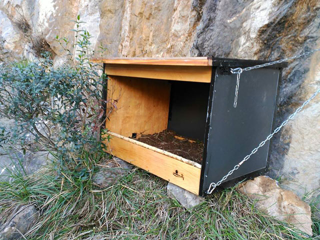 Icarus Estudios Medioambientales MEDIO AMBIENTE: CONSULTORIAS