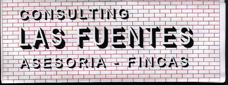 Consulting Las Fuentes ASESORIAS DE EMPRESAS