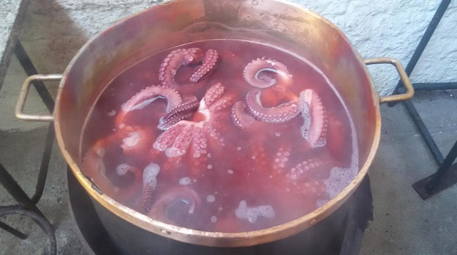 Casa Do Pulpo 2