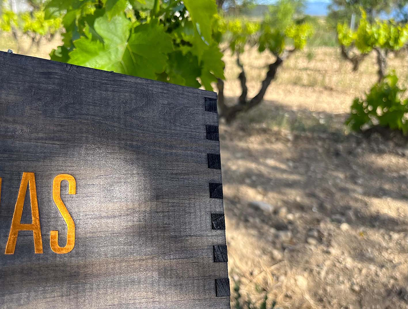 Sabando Estuchería S.L. 5