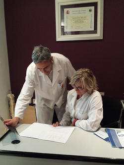 Galería de imágenes