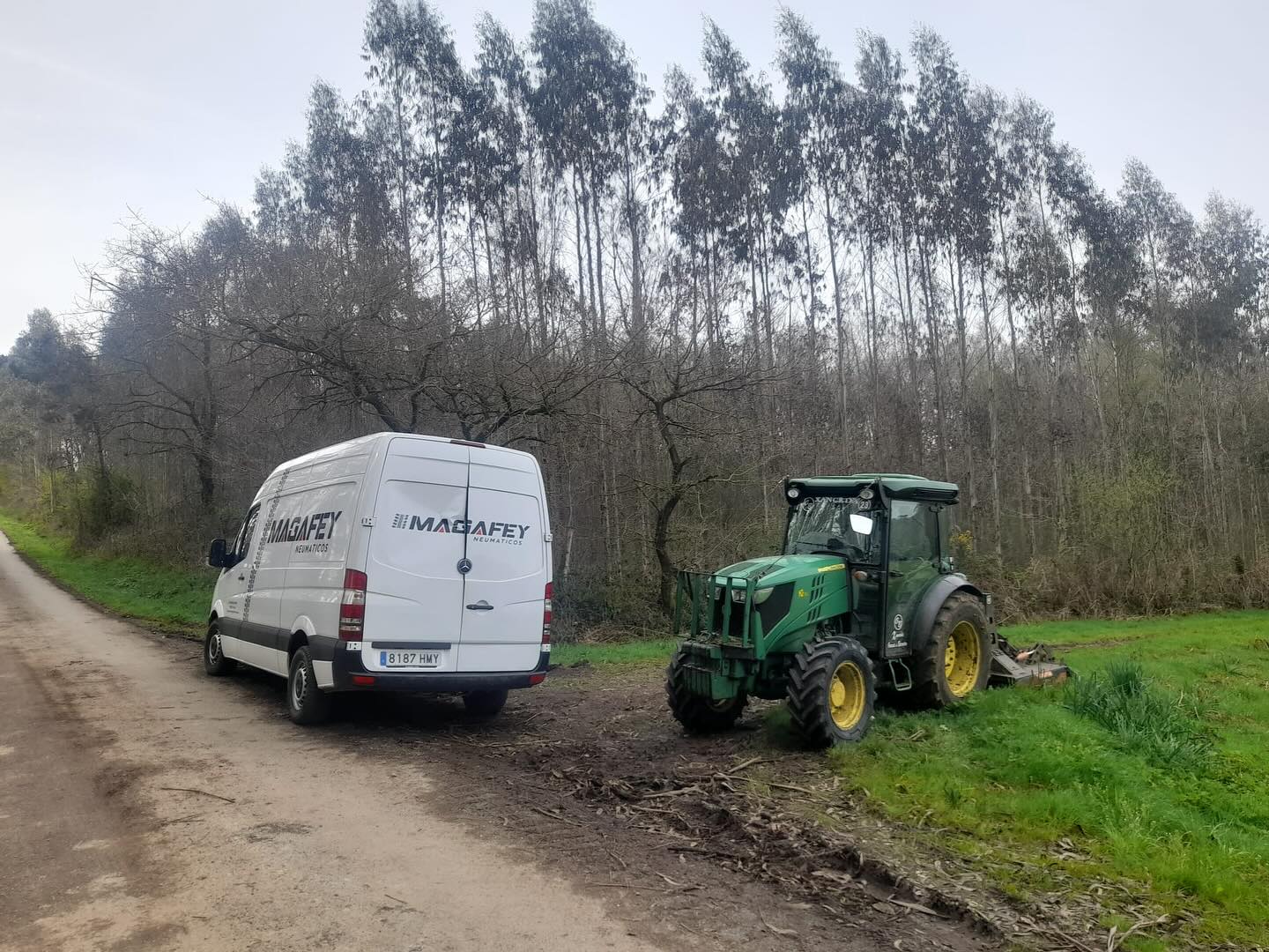 Galería de imágenes