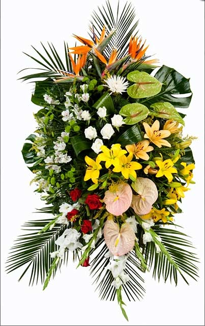 Funeraria Tanatorio Nuestra Se&ntilde;ora de los Dolores 3