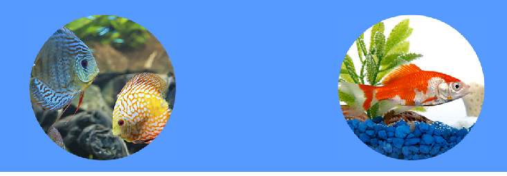 Piscifactoria Berxa PISCIFACTORIAS