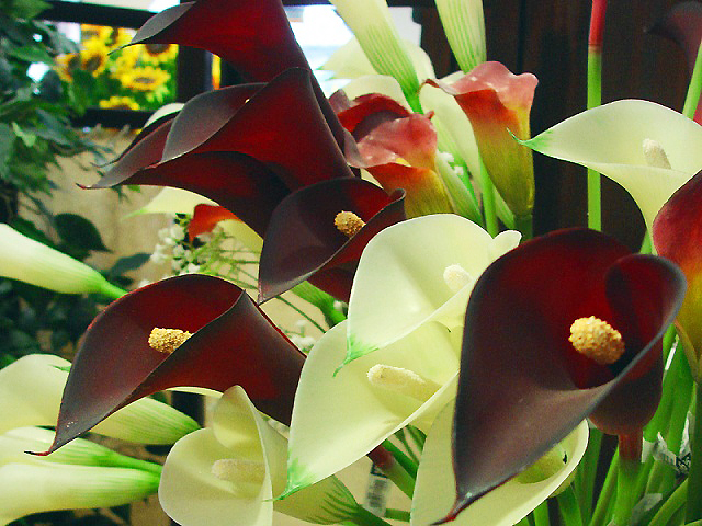 D&iacute;az Floristas FLORISTERIAS