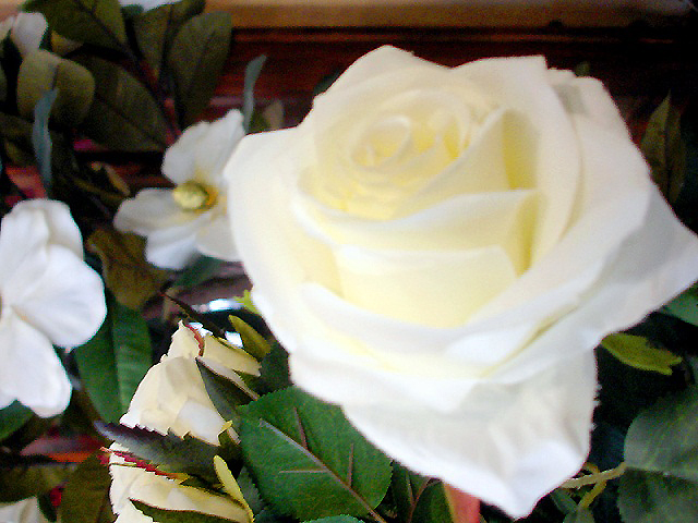 D&iacute;az Floristas 4