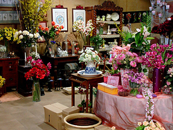 Galería de imágenes