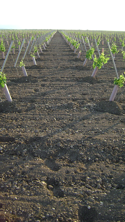 Galería de imágenes