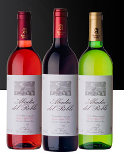 Bodegas Ayuso BODEGAS: PRODUCCION DE VINOS Y LICORES