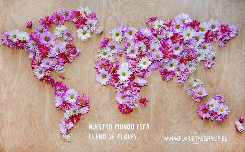 Floristas Garc&iacute;a 8