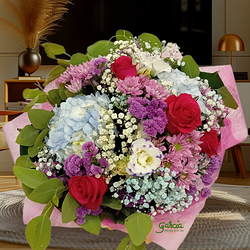 Galería de imágenes