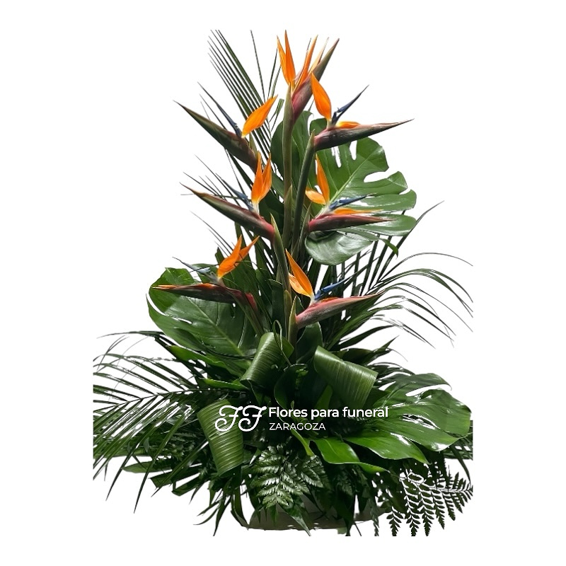 Flores para funeral Zaragoza 38