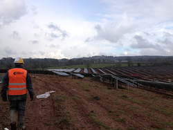 Galería de imágenes