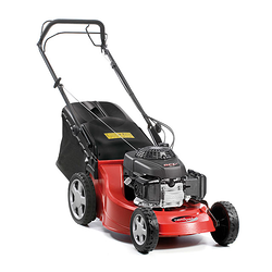 Galería de imágenes