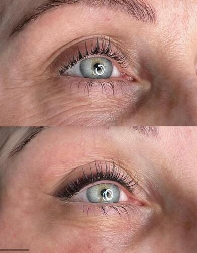 Bloom Studio Micropigmentaci&oacute;n Integral 6