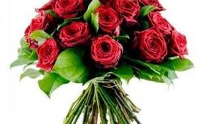 Floristería David 4 Floristería David 4