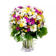 Floristería David 2 Floristería David 2