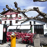 Galería de imágenes