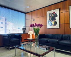 Galería de imágenes