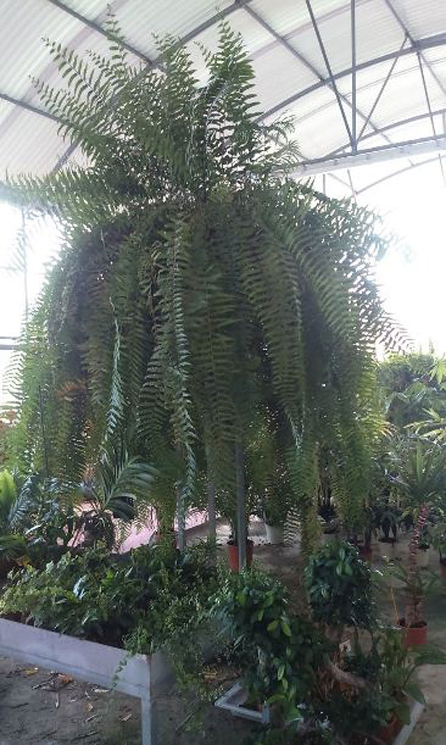 Centro De Jardiner&iacute;a Monte Sol 2