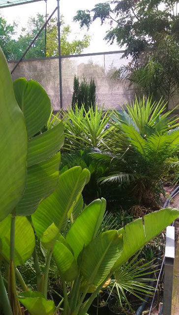 Centro De Jardiner&iacute;a Monte Sol 4