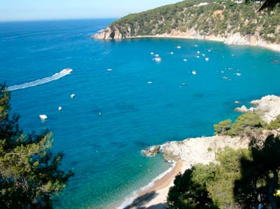 Restaurant Beach Club 6