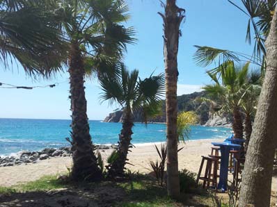 Restaurant Beach Club 7