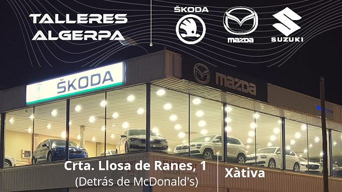 AUTOMÓVILES JULIÁN MARTÍNEZ S.L. 3