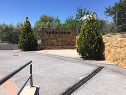 Galería de imágenes