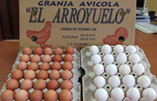 Huevos Ortiz Gálvez