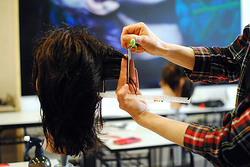 Galería de imágenes