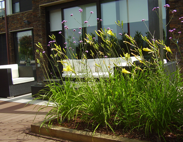 Ganboa Lan JARDINERIA ARTICULOS Y SERVICIOS: CENTROS (GARDEN CENTER)