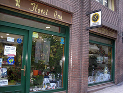 Galería de imágenes