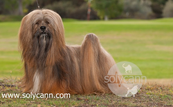 Galería de imágenes