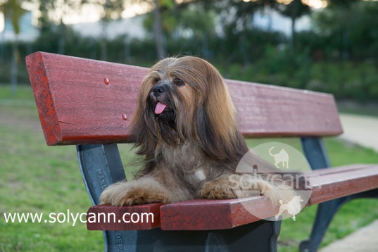 Peluquer&iacute;a Solycann 2