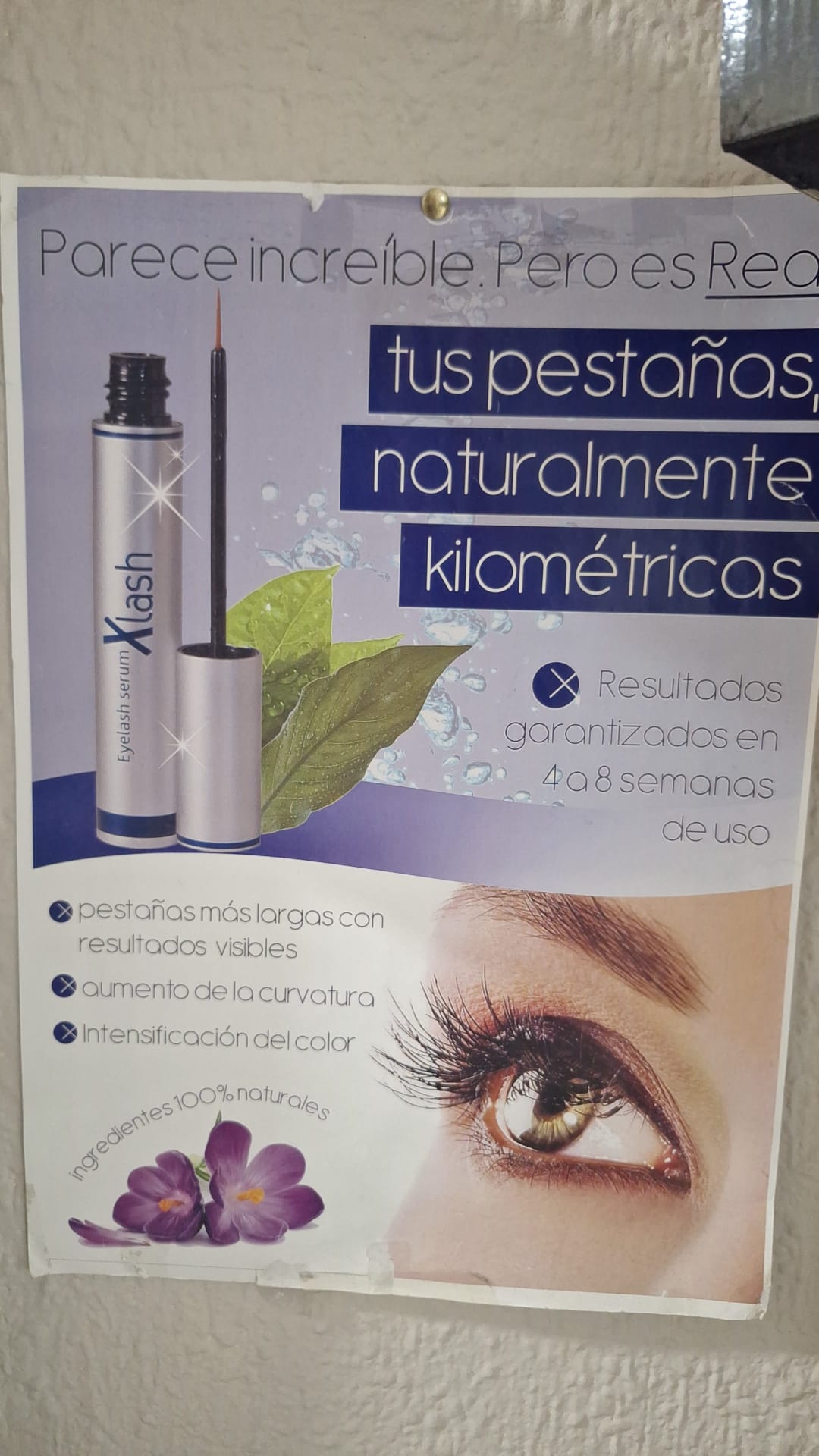 Ad Peluqueros 31