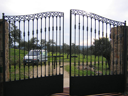 Galería de imágenes