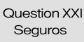 Questión XXI Seguros S.L.