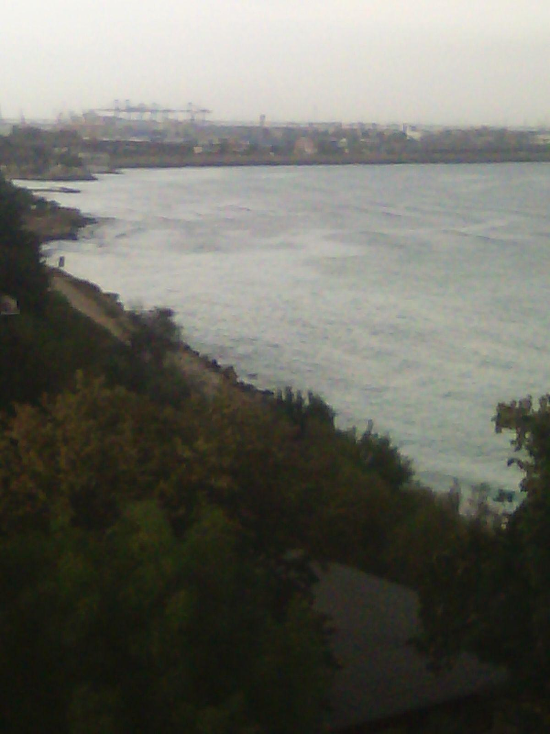 Restaurante Casa Paco 13