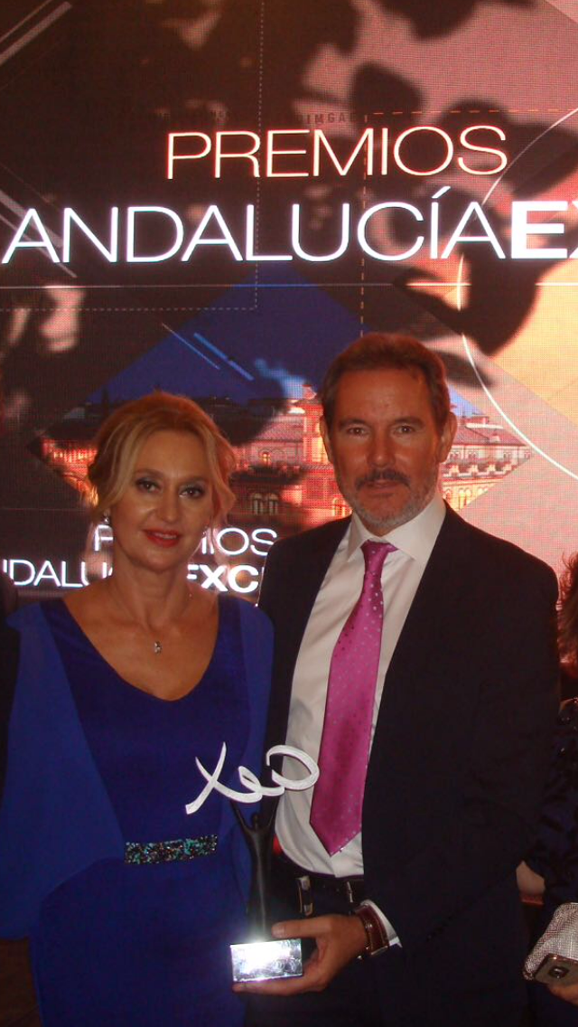 Inmobiliaria SEVILLA 2000 Real Estate 36