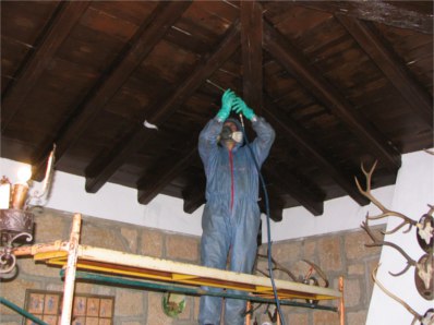 Desinfecciones Integrales Extreme&ntilde;as Sl DESINFECCION, DESRATIZACION Y DESINSECTACION