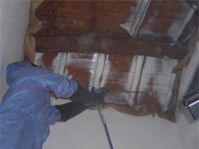 Desinfecciones Integrales Extreme&ntilde;as Sl 4