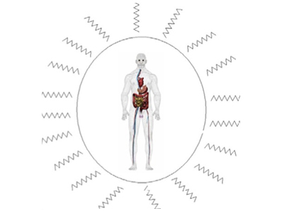Doctor Rafael Torres - Medicina Integrativa 5