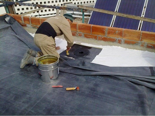 Galería de imágenes