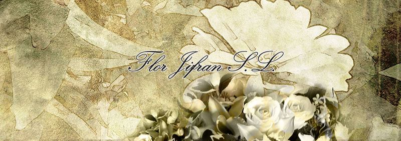 Flor Jifran S.L. 2